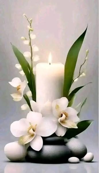 You are currently viewing Kendal Asche New York  Obituary |in loving Memory Of Kendal Asche